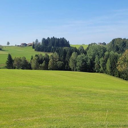 Anna Altreichenau Apartment Neureichenau Luaran gambar