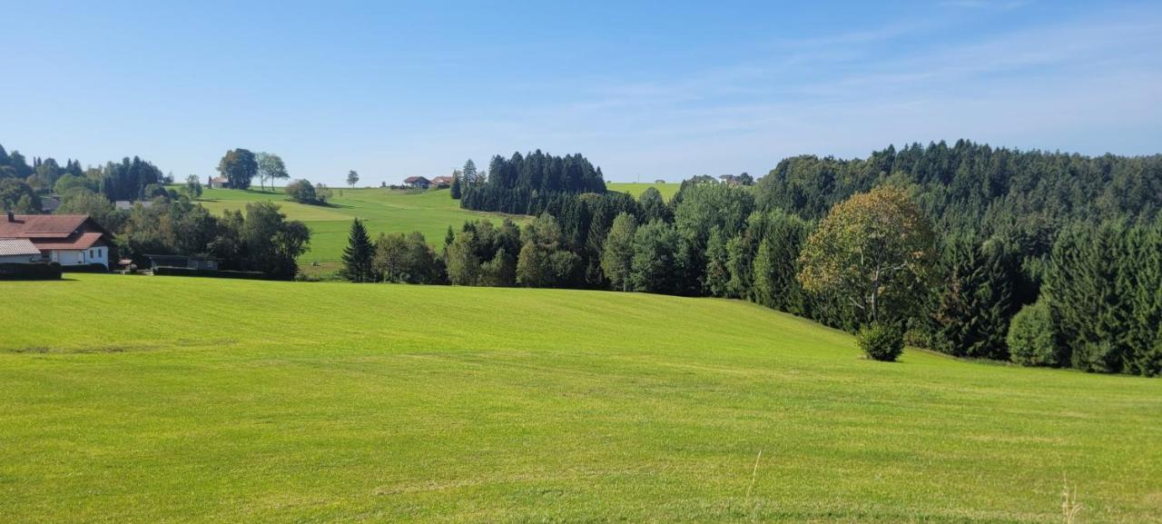 Anna Altreichenau Apartment Neureichenau Luaran gambar