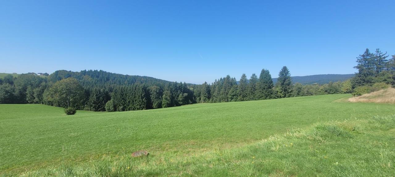 Anna Altreichenau Apartment Neureichenau Luaran gambar